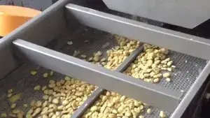 Виброконвейер для удаления излишков масла