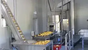 Линия производства картофельных чипсов