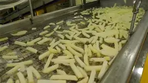 Линия производства замороженного картофеля фри